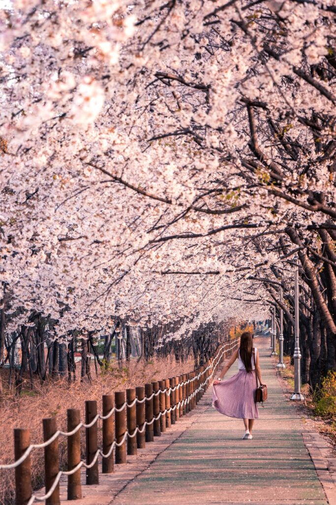 woman standing nearcherry blossom trees